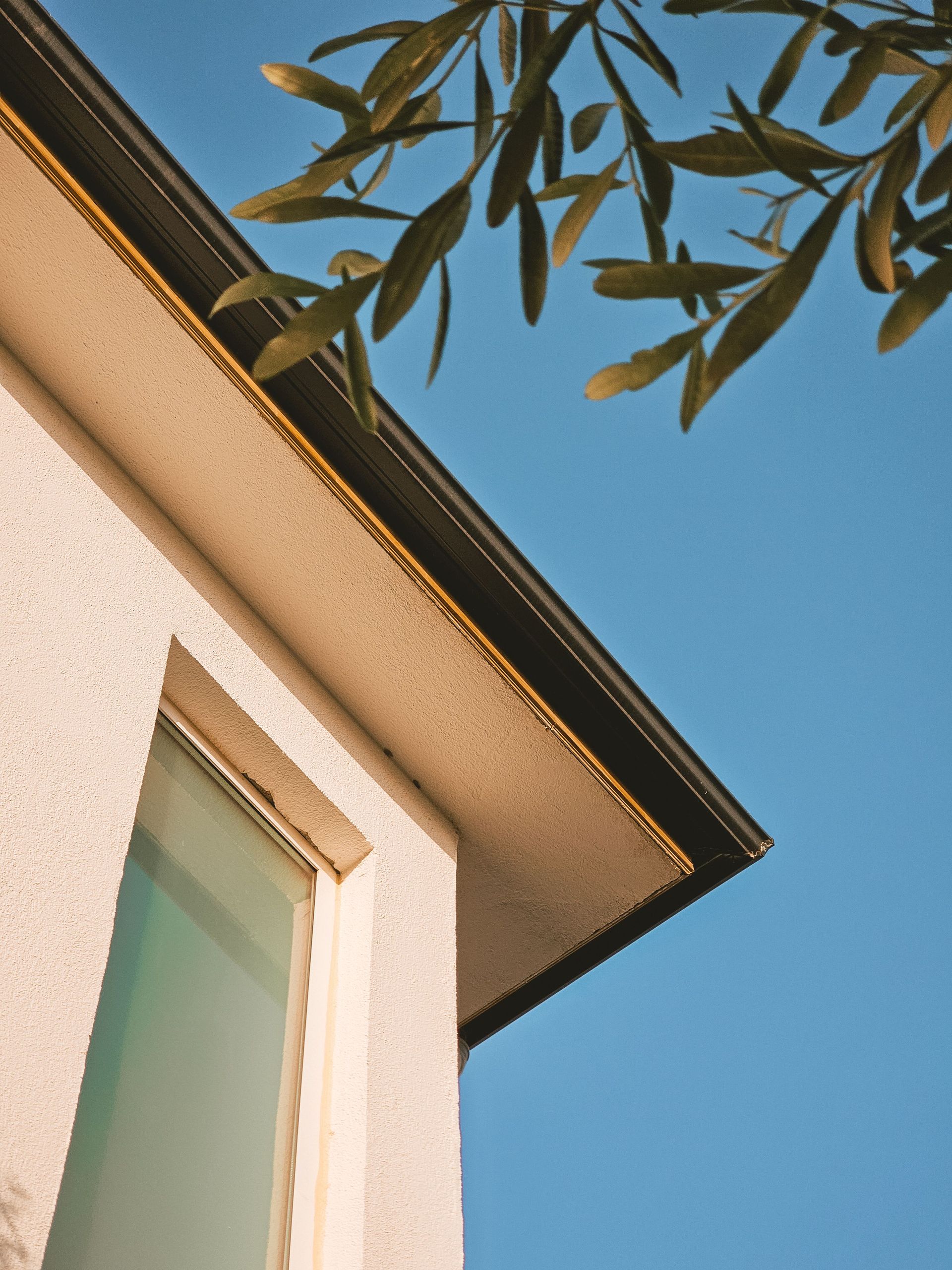 Modern building facade with a clear sky and olive leaves in view, emphasizing freshness and tranquility.